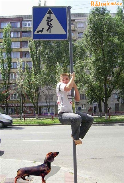 sranda.jpg